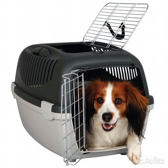 Аренда переноски для животных