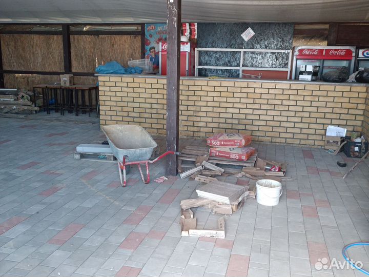 Администратор в кафе с капибарами