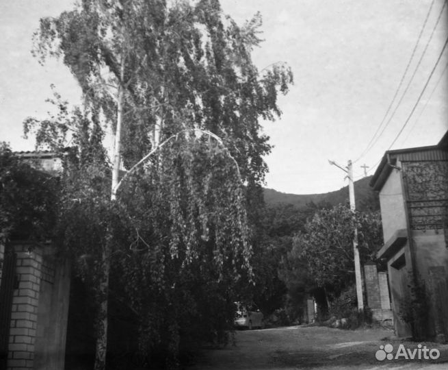 Фотоплёнка свема 65 тип 120, 3 шт