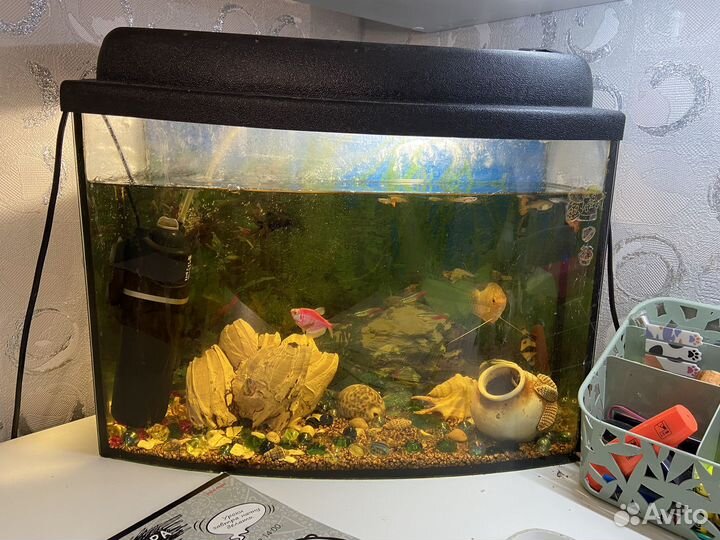 Аквариум