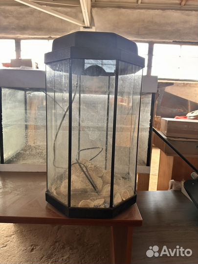 Аквариум