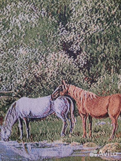 Продам лошадей