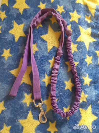 Миска, шлейка и ошейник