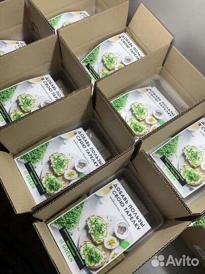 Набор для выращивания микрозелени