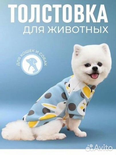 Толстовка кофта для животных