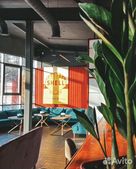 Готовый бизнес Кальяная лаунж бар