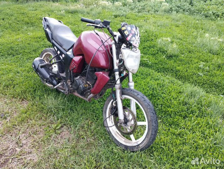 Райсер Нитро 250