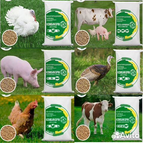 Белгородские комбикорма