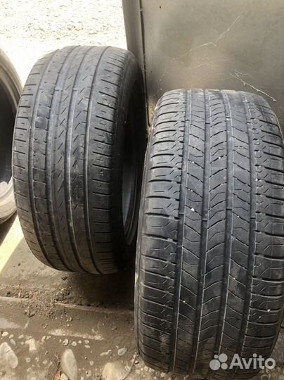 Maxxis AP2 All Season 40/4.5 R17 98C