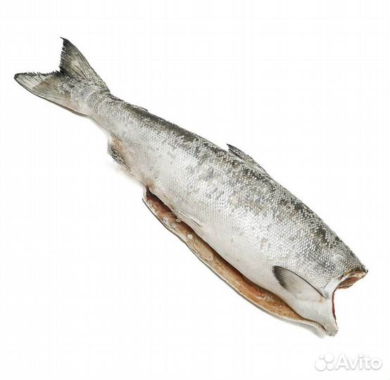 Кета пбг 1 сорт блочной заморозки мешок 22кг