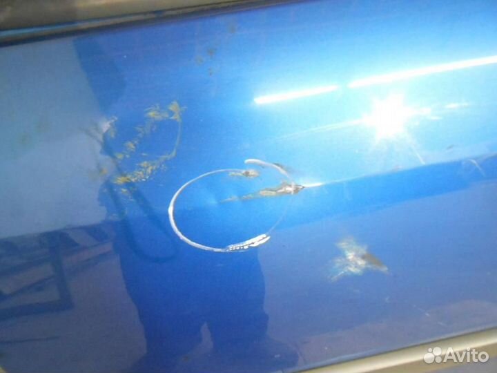 Дверь передняя левая Renault Grand Scenic/Scenic