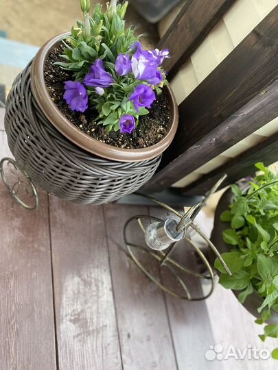 Вазоны для цветов