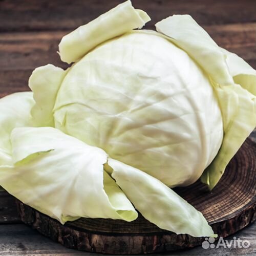 Капуста для засолки