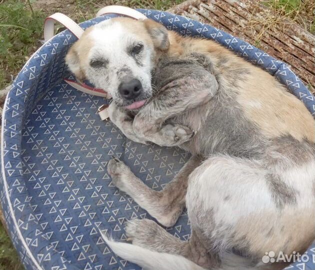 Спасем вместе