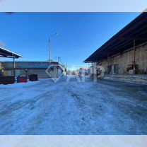 Помещение свободного назначения 86,9 кВм