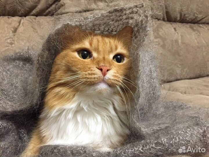 Пуховый платок паутинка