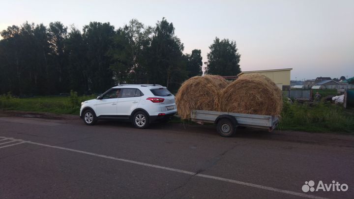 Сено Люцерны в рулонах второй укос