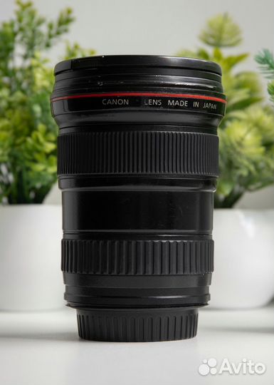 Canon EF 16-35mm f/2.8L USM