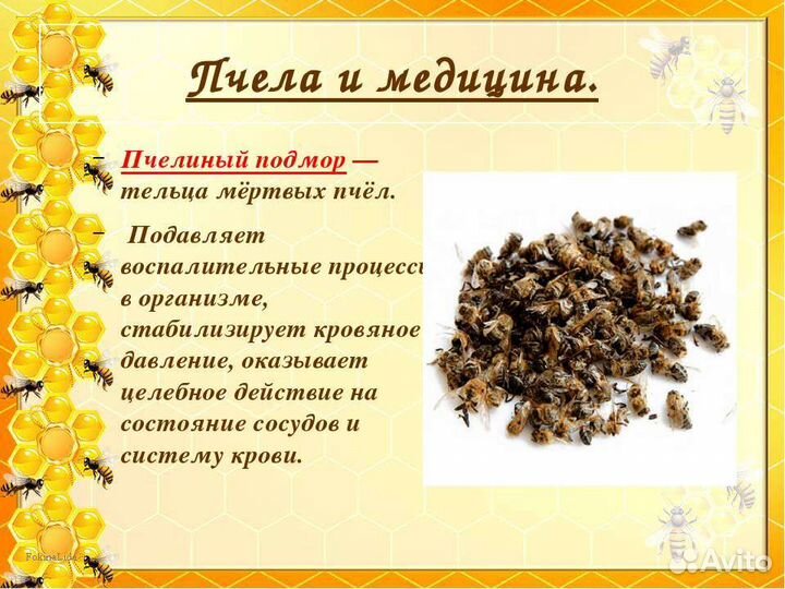 Пчелиный подмор