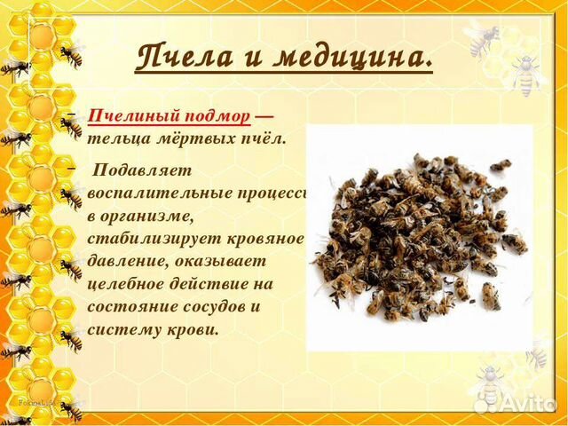 Пчелиный подмор