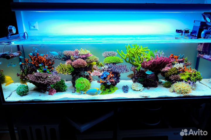 Морской Аквариум