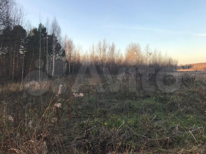 Участок 50 сот. (СНТ, ДНП)