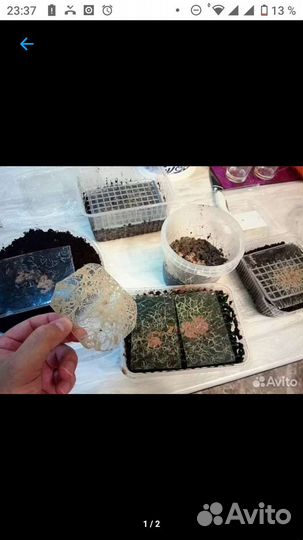 Корма(разные)для всех видов аквариумных обитателей