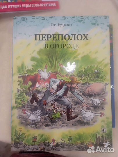 Книги детские финдус