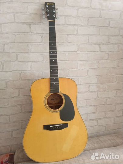 Акустическая гитара Morris W 25