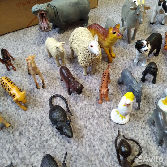 Животные, птицы, насекомые