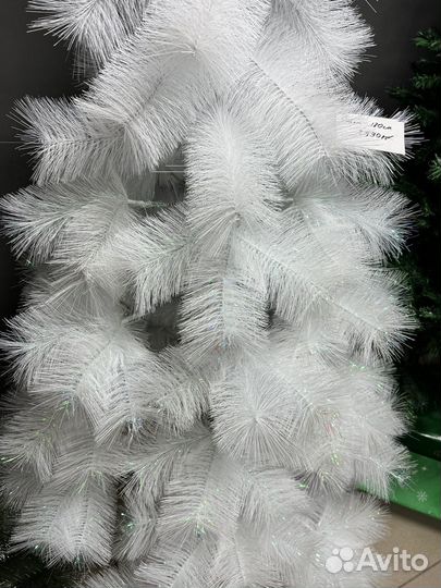 Ель пушистая 180см