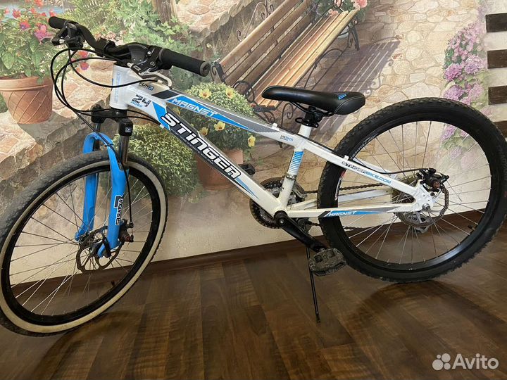 Велосипед Stinger Magnet 24