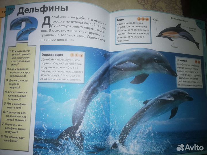 Детская энциклопедия