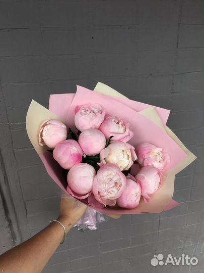 Розовые пионы свежак