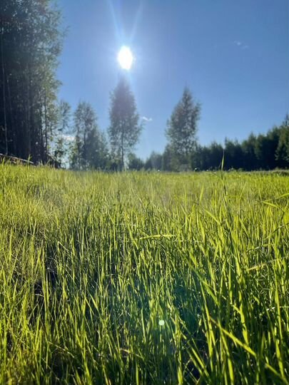 Участок 21 сот. (СНТ, ДНП)