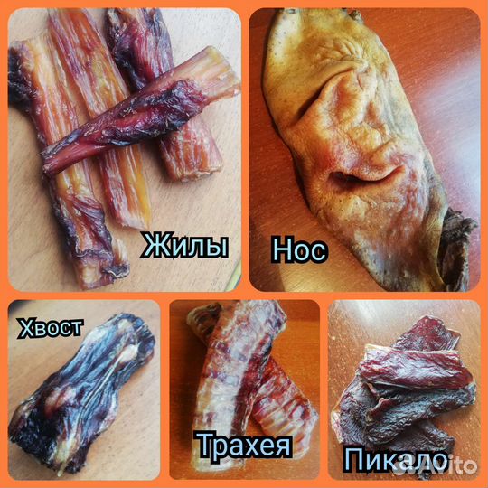 Сушеные лакомства для собак и кошек