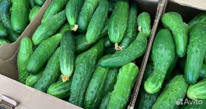 Мясная овощная продукция, фрукты с базы