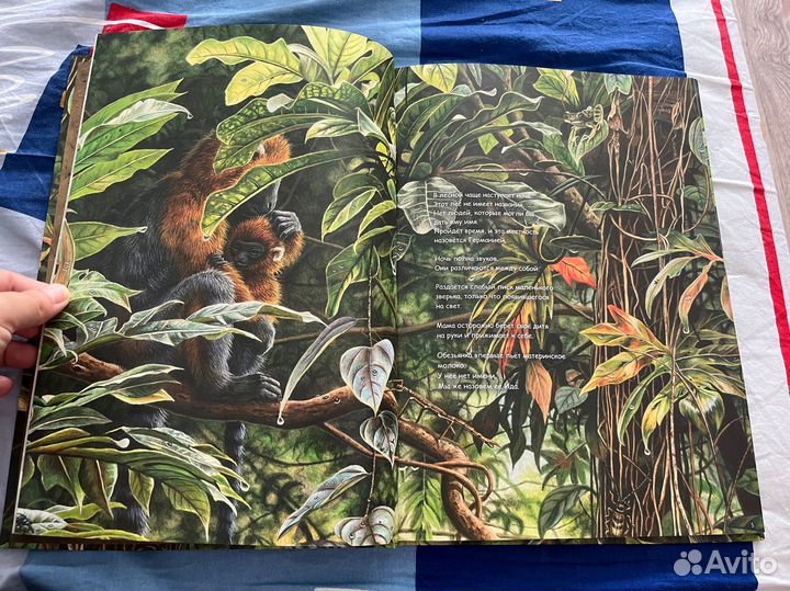 Ида, Пешком в историю, Йорн Хюрум