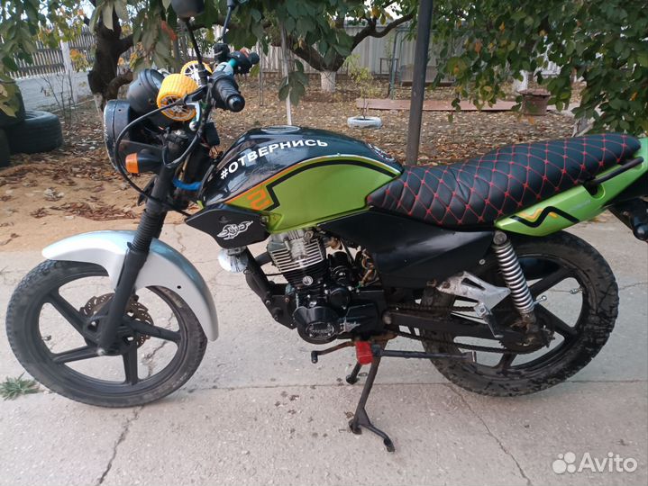 Racer Tiger 150-23