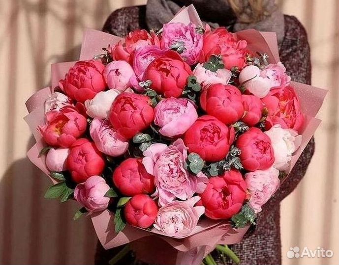 Пионы Цветы Доставка