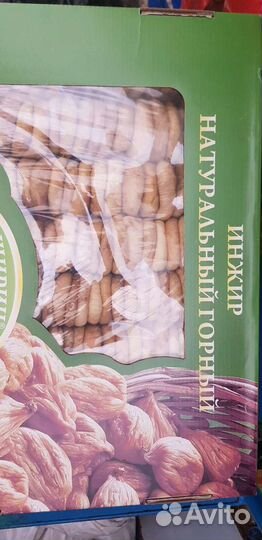 Инжир горный лечебный