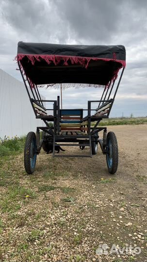 Шарабан для лошади