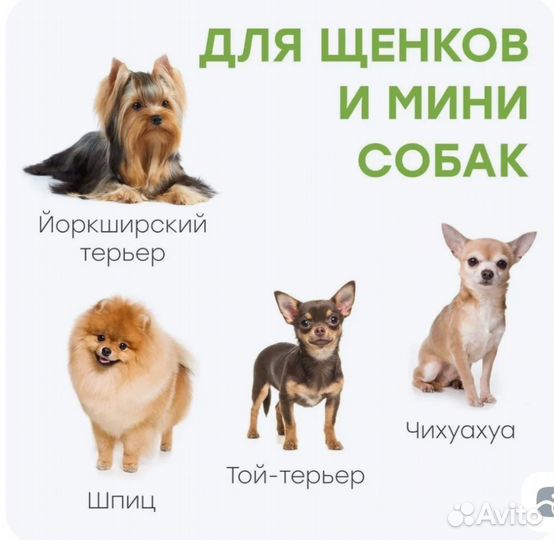 Лоток для маленьких собак