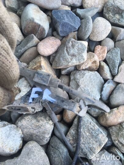 Toyota funcargo датчик абс передний