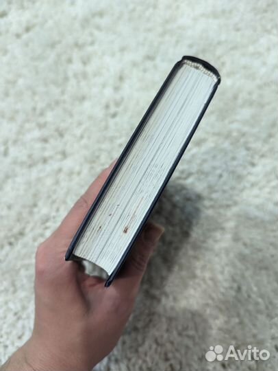 Полусолнце Кристина Робер