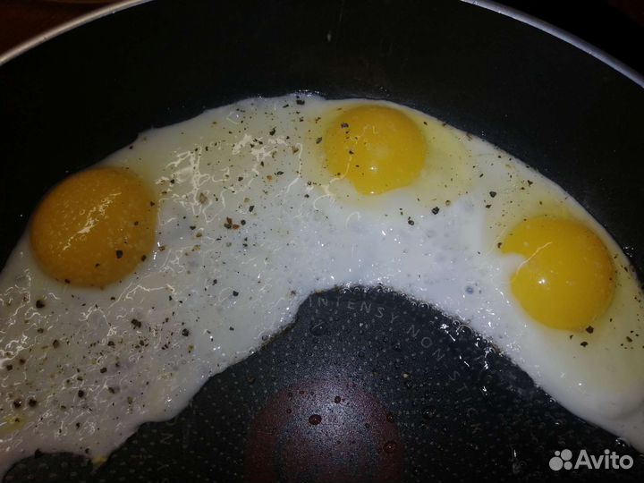 Домашние куриные яйца