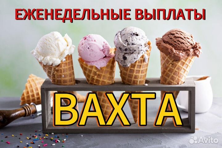 Укладчик упаковщик мороженого вахта