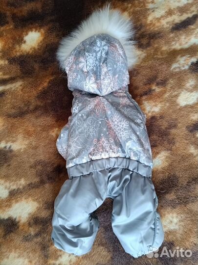 Зимний комбинезон для собак мелких пород