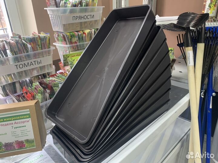 Поддоны для рассады