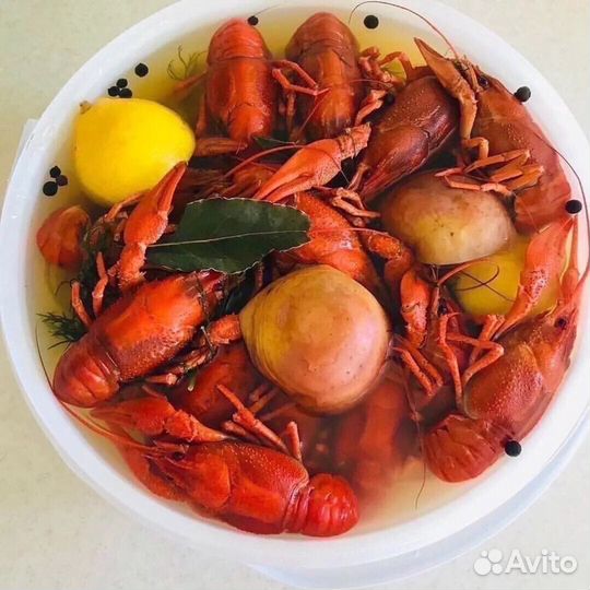 Живые и Вареные раки